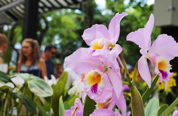 FOTO: Alessandro Wedig/Arquivo | Comunicação PMNP